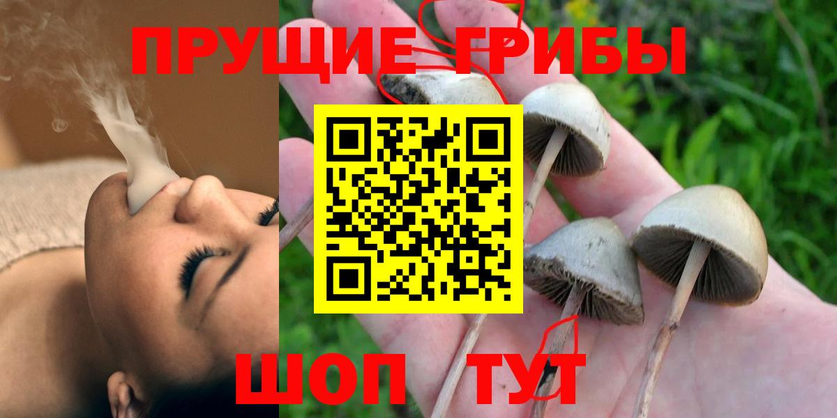Нефтеюганск  Псилоцибиновые грибы прущие грибы  Вход с VPN  Псилоцибиновые грибы Psilocybine cubensis 